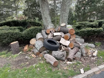 [Hearth.com] Firewood !