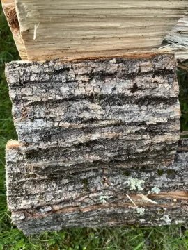 [Hearth.com] Can someone tell me what’s the name of this wood ?