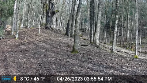 [Hearth.com] Trail Cams