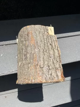 [Hearth.com] Can someone tell me what’s the name of this wood ?