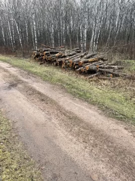 [Hearth.com] Red Oak Score