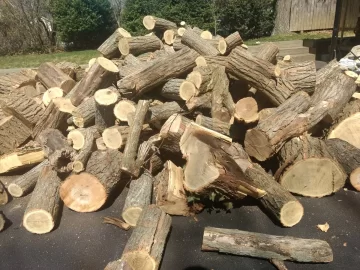 [Hearth.com] Getting firewood ready for this winter