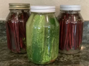 [Hearth.com] Fermentation for food preservation