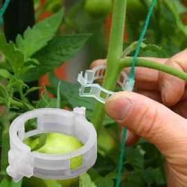 [Hearth.com] How do you tie up your garden tomato plants?