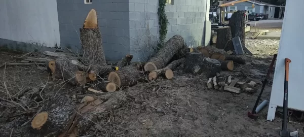 [Hearth.com] Red Oak or White Oak? (Wood ID)