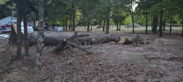 [Hearth.com] Red Oak or White Oak? (Wood ID)