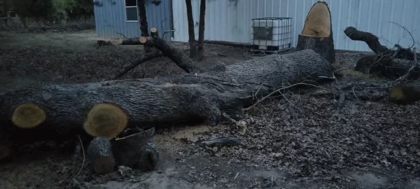 [Hearth.com] Red Oak or White Oak? (Wood ID)