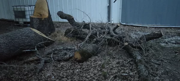 [Hearth.com] Red Oak or White Oak? (Wood ID)