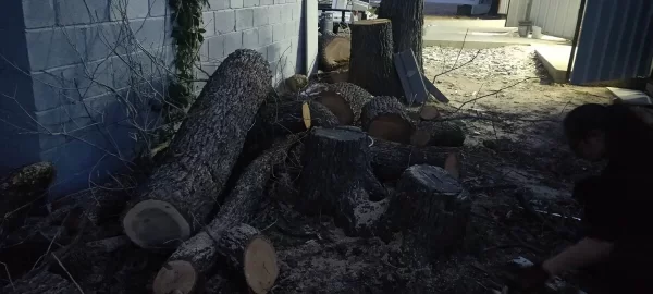 [Hearth.com] Red Oak or White Oak? (Wood ID)