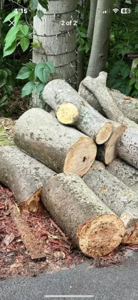 [Hearth.com] Help identify this firewood