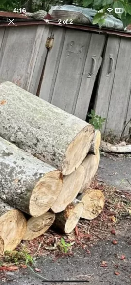 [Hearth.com] Help identify this firewood