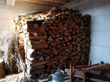 [Hearth.com] Tons of oak.  Wait to cut up some?