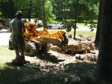 [Hearth.com] Best way to clear stumps?