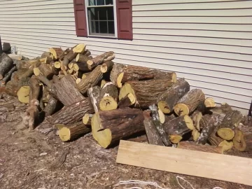 [Hearth.com] Possibly the holy grail of wood scores ***Edit in OP, Got 4 truckloads of Osage Orange