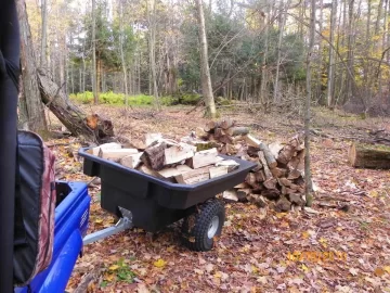 [Hearth.com] Sugar Maple