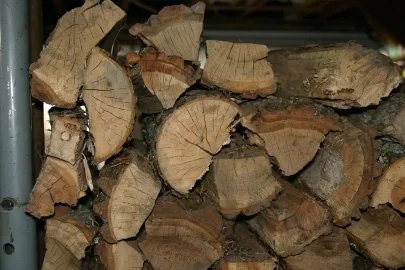 [Hearth.com] Tree ID Sugar Maple or Hickory...or something else?