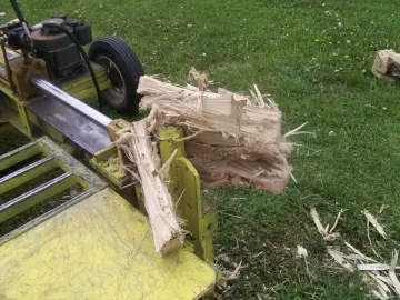 [Hearth.com] I scored my first Elm today