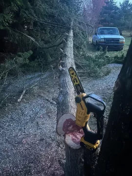 [Hearth.com] Bought my first battery operated chainsaw