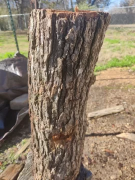 [Hearth.com] Wood ID. Bradford Pear?