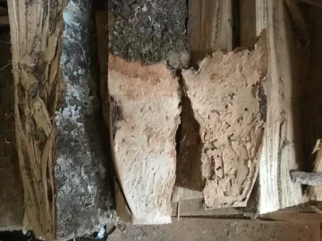 [Hearth.com] Why One Should Stack Wood Away from House or Other Structure