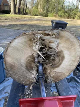 [Hearth.com] Wood ID. Bradford Pear?