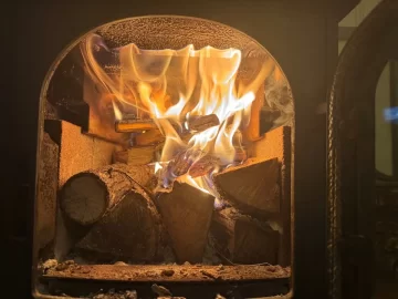 [Hearth.com] What Is In Your Stove Right Now?