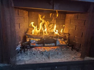 [Hearth.com] Fire burning out WAY too fast