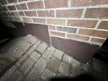 [Hearth.com] Water Leaking Through Brick