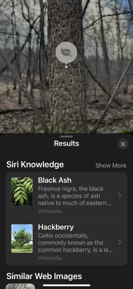 [Hearth.com] Tree ID