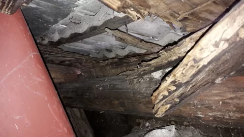 [Hearth.com] how safe is this sauna chimney pipe? would you fire up this sauna..