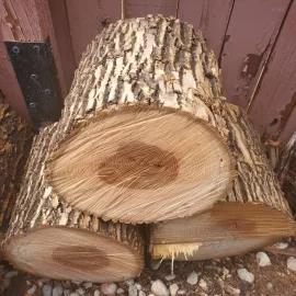 [Hearth.com] Firewood ID help needed...