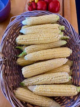 Corn.jpg