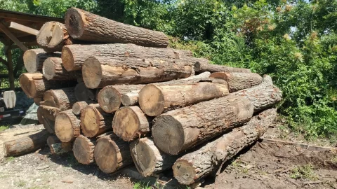 [Hearth.com] On the scrounge 2024 post your free wood score