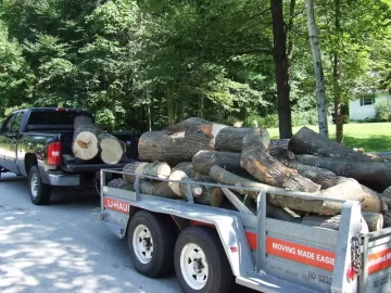 [Hearth.com] Craigslist maple (I think)