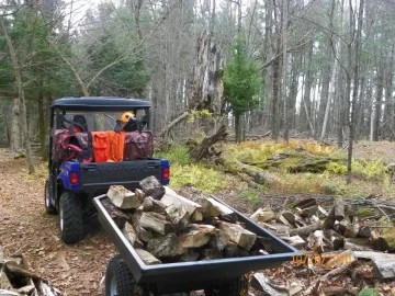 [Hearth.com] More Gnarly Sugar Maple