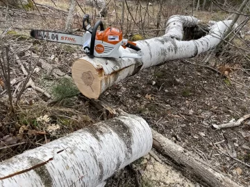 [Hearth.com] Bought my first battery operated chainsaw