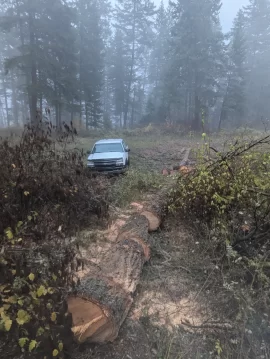 [Hearth.com] How many years are you ahead in storing firewood?