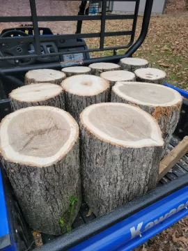 [Hearth.com] Is this White Oak?