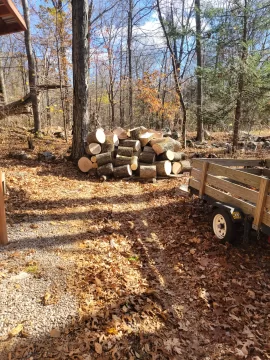 [Hearth.com] How many years are you ahead in storing firewood?