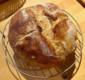 [Hearth.com] Sourdough