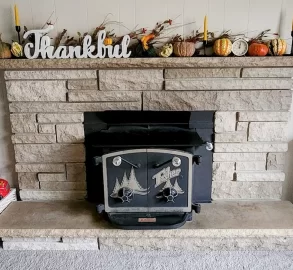 [Hearth.com] 1980 Fisher fireplace insert value?