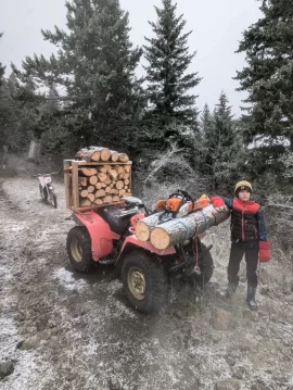 [Hearth.com] How many years are you ahead in storing firewood?