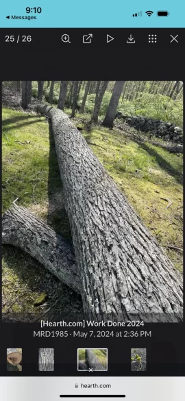 [Hearth.com] Wood ID Please