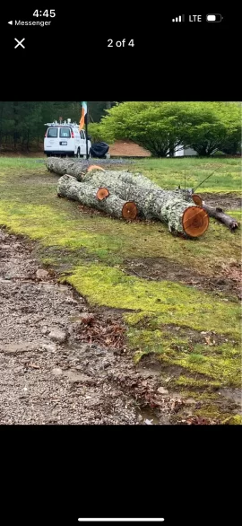 [Hearth.com] Are these cherry logs?