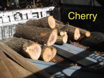 [Hearth.com] Are these cherry logs?