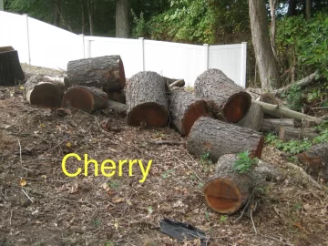 [Hearth.com] Are these cherry logs?