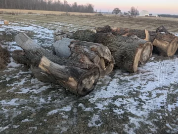 [Hearth.com] Tree company log drop