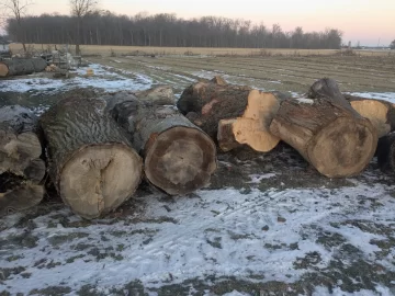 [Hearth.com] Tree company log drop