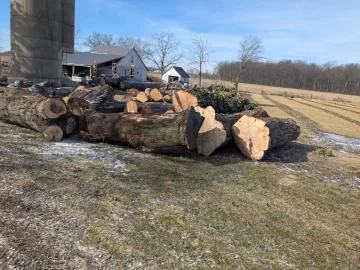 [Hearth.com] Tree company log drop