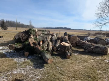 [Hearth.com] Tree company log drop